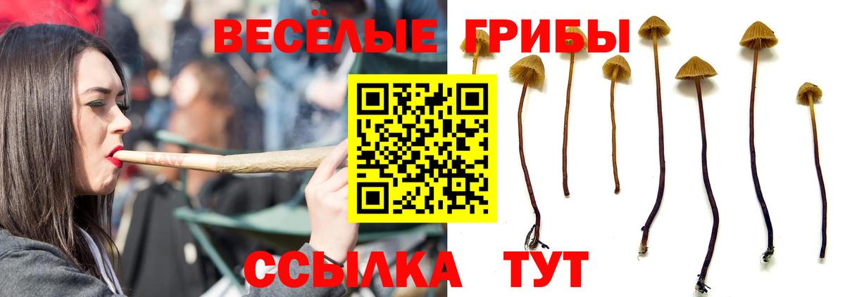 Галлюциногенные грибы мицелий  Псилоцибиновые грибы Magic Shrooms  Вход с VPN  Нижнекамск 