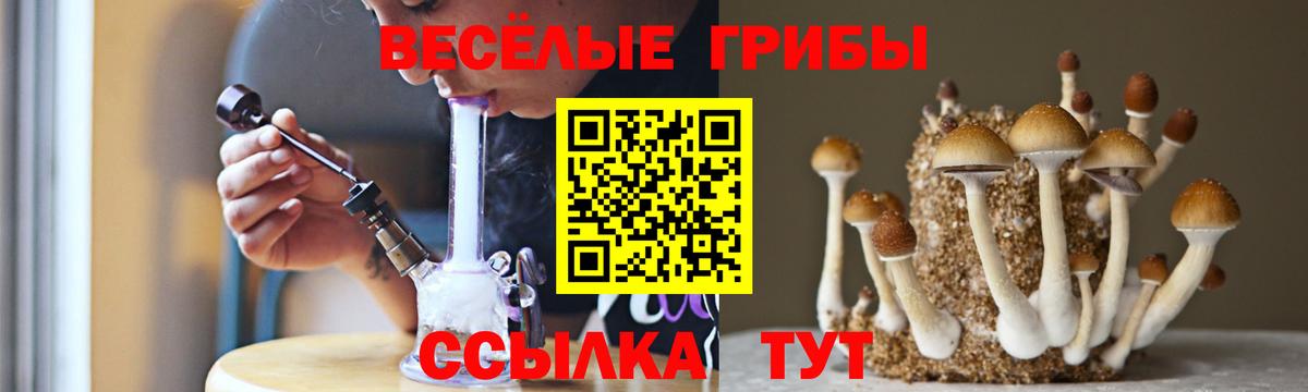 Псилоцибиновые грибы GOLDEN TEACHER Нижнекамск